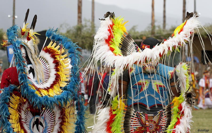 Feather Photograph - Pow Wow #1 by Stellina Giannitsi