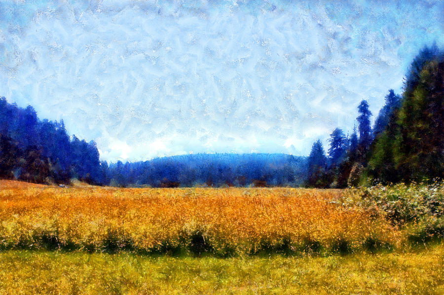 Prairie Creek Meadow #1 Digital Art by Kaylee Mason