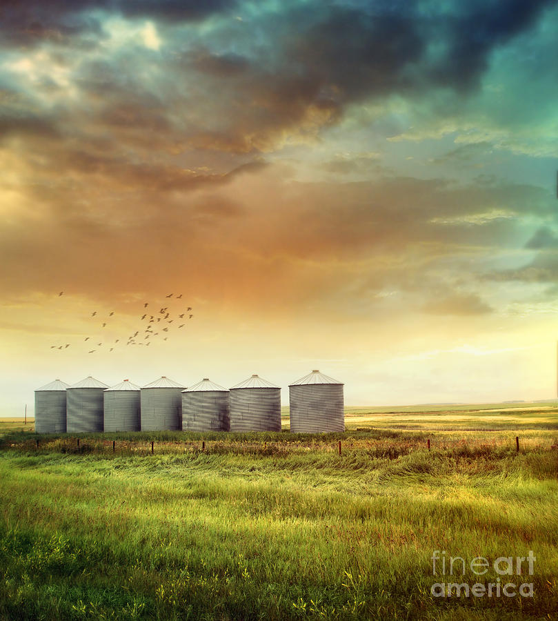 Prairie grain silos in late summer #1 Photograph by Sandra Cunningham