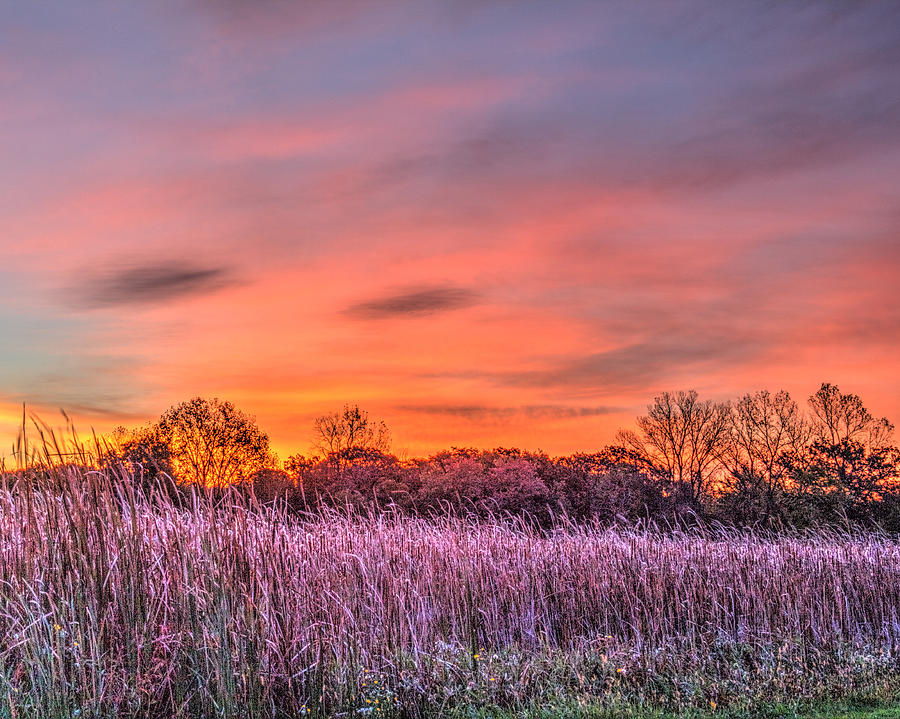 Fall Photograph - Illinois Prairie Moments Before Sunrise by Roger Passman