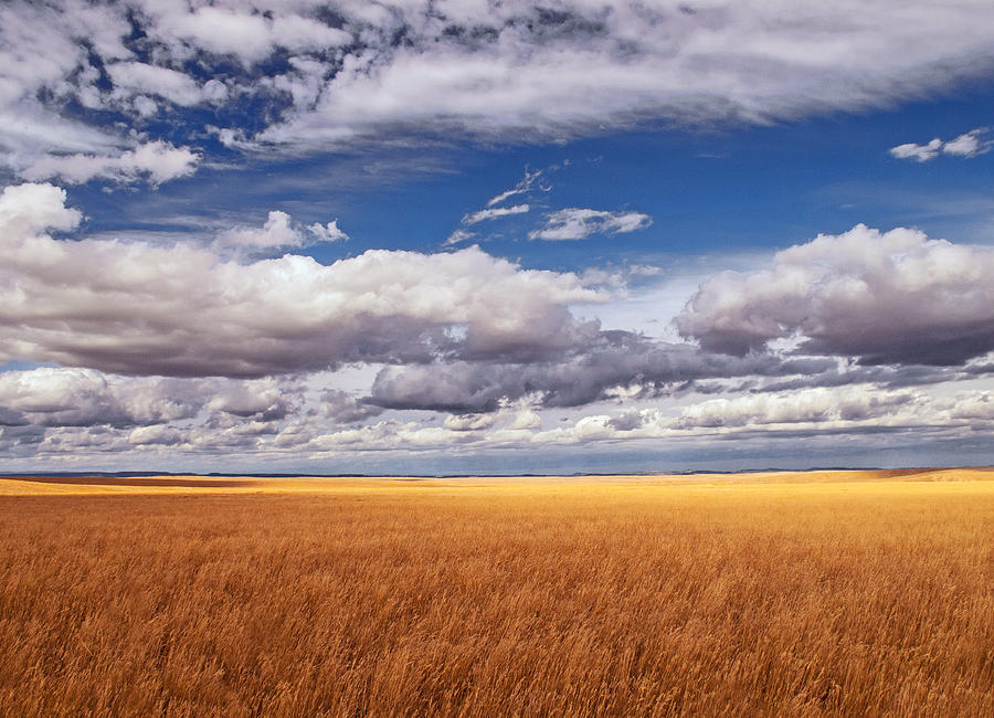 Prairie Wyoming U S A Photograph by Don Spenner