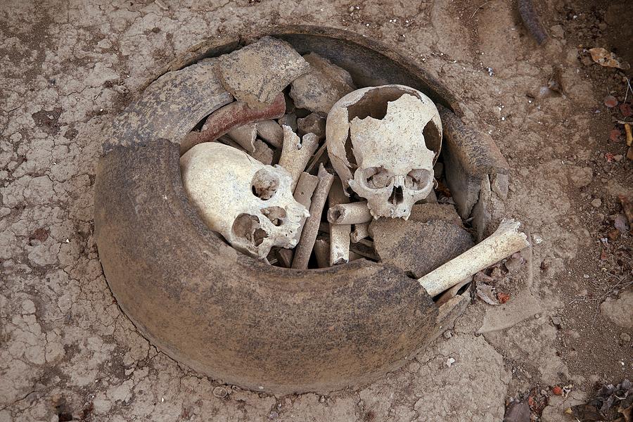 Skull Photograph - Pre-incan Burial Urn #1 by Sinclair Stammers/science Photo Library