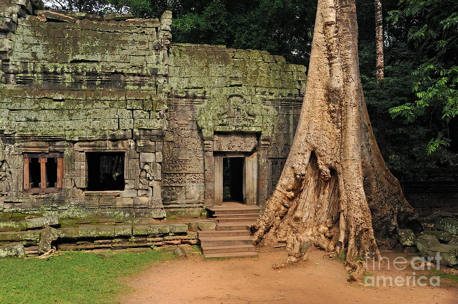 Tree Photograph - Preah KhanTemple at Angkor Wat #1 by Sami Sarkis