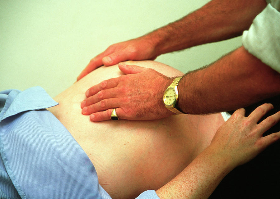 Pregnancy Check-up #1 Photograph by Antonia Reeve/science Photo Library