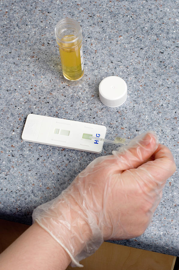 Pregnancy Test #1 Photograph by Jim Varney/science Photo Library