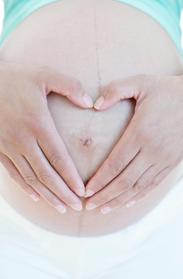 Pregnant Womans Abdomen #1 Photograph by Ian Hooton/science Photo Library