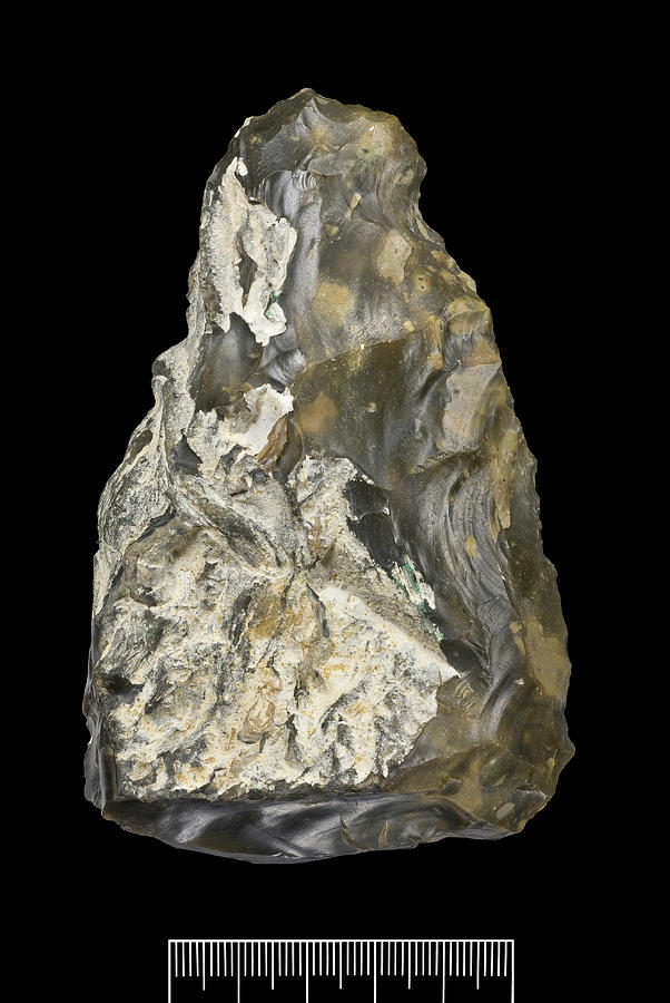 Prehistoric Flint Hand-axe #1 Photograph by Natural History Museum, London/science Photo Library