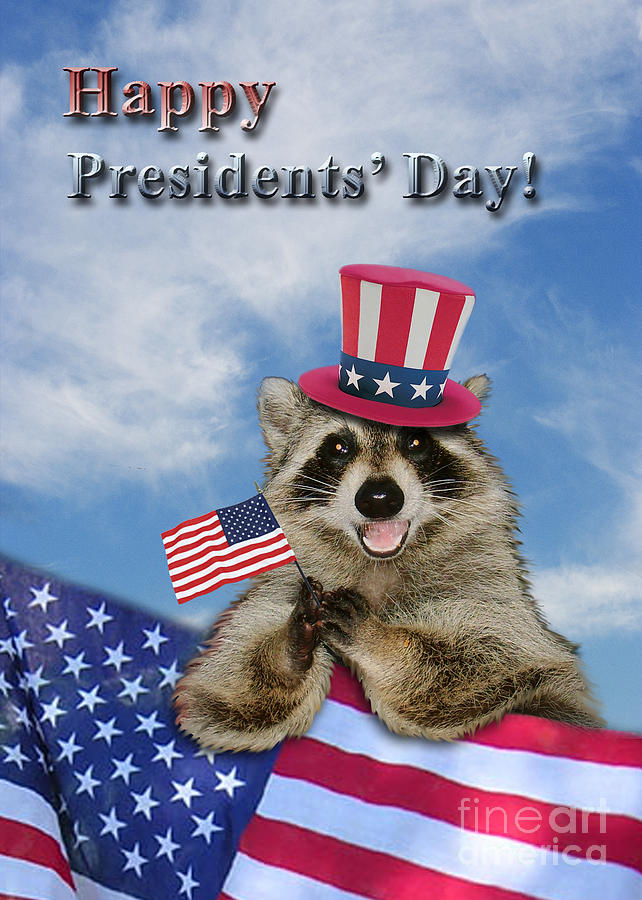 Nature Photograph - Presidents Day Raccoon #1 by Jeanette K