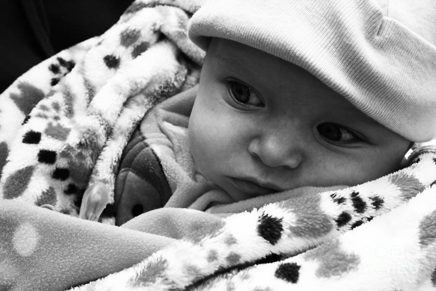 Presious Baby #1 Photograph by JamieLynn Warber