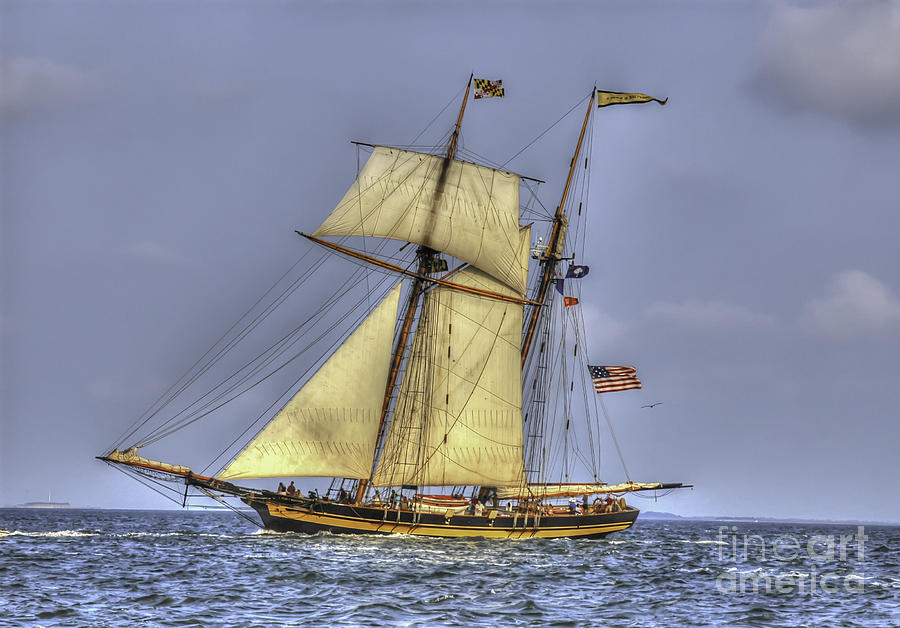 Pride of Baltimore Tall Ship #1 Photograph by Dale Powell