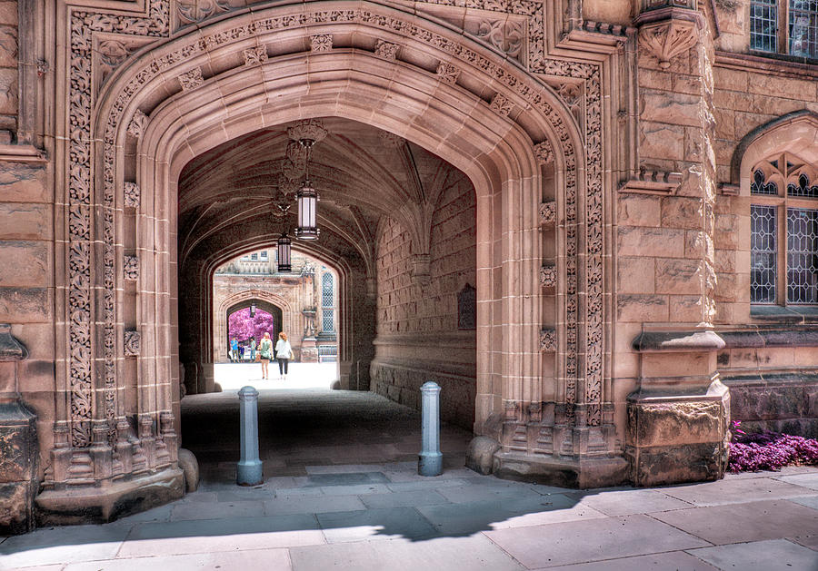 Princeton University   #1 Photograph by Robert Culver
