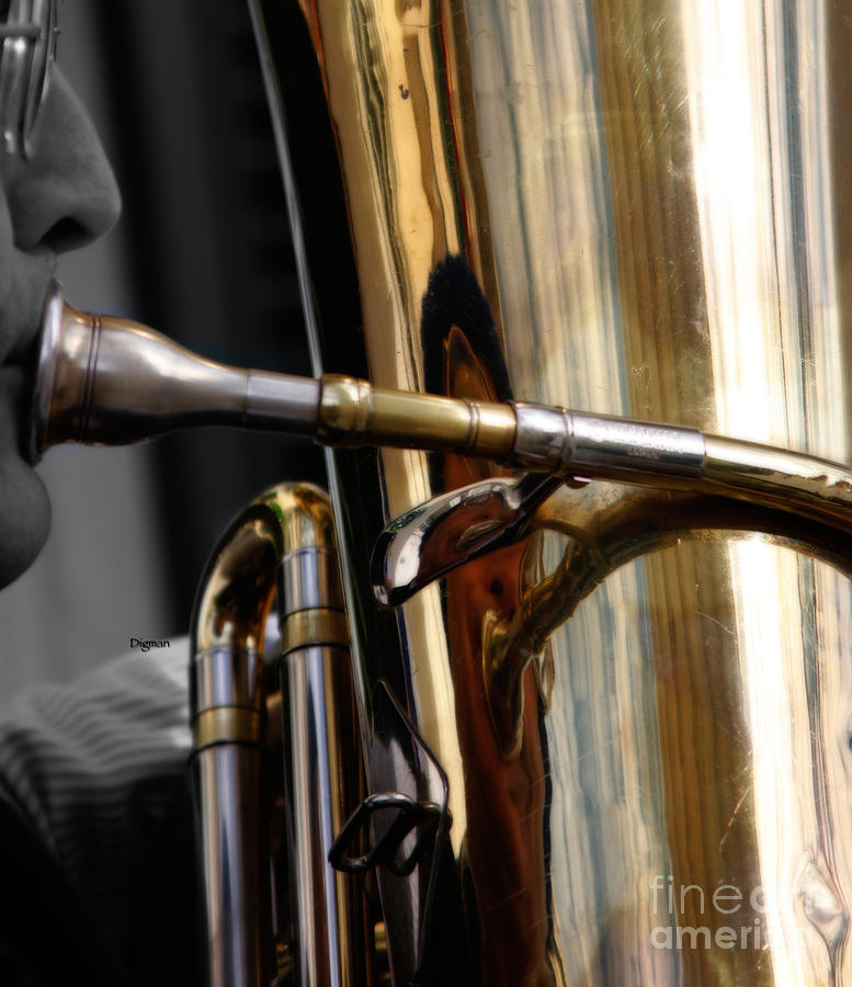 Tuba Photograph - Profile In Tuba by Steven Digman Tuba Photograph - Profile In Tuba by Steven Digman