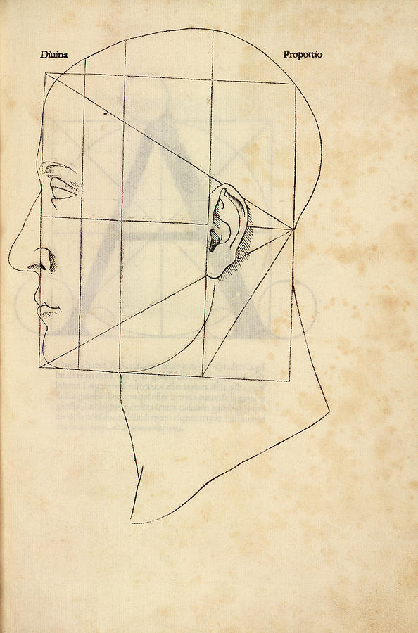 Proportions Of The Human Face #1 Photograph by Library Of Congress