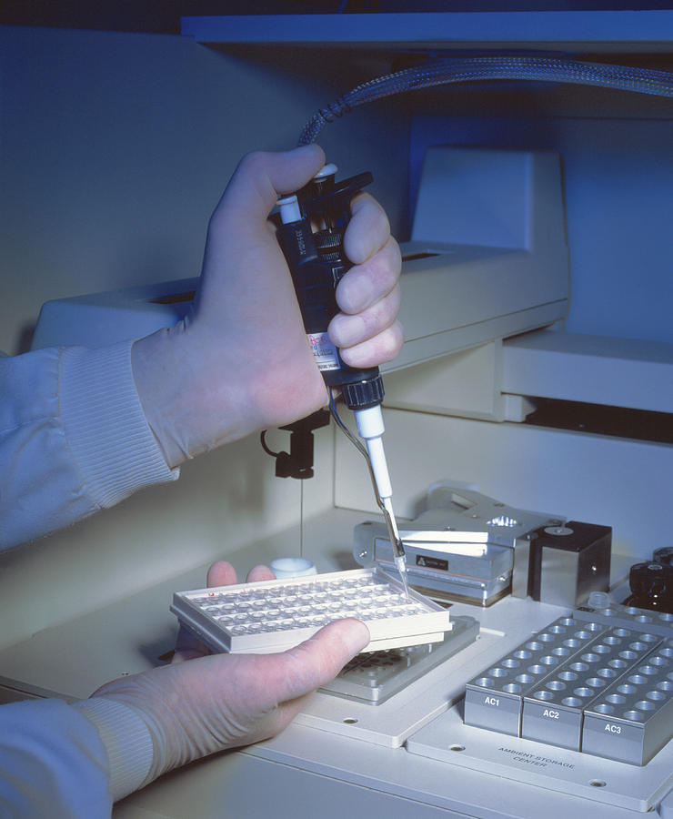 Protein Analysis #1 Photograph by Medical School, University Of Newcastle Upon Tyne/simon Fraser/science Photo Library