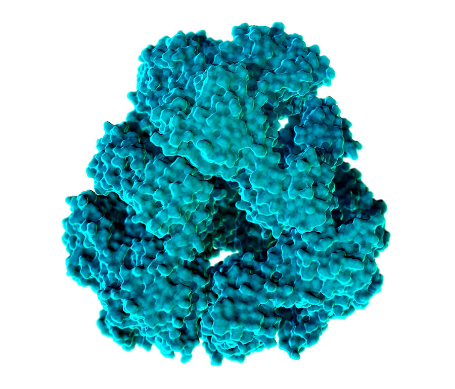 Protein Cage, Molecular Model #1 Photograph by Evan Oto