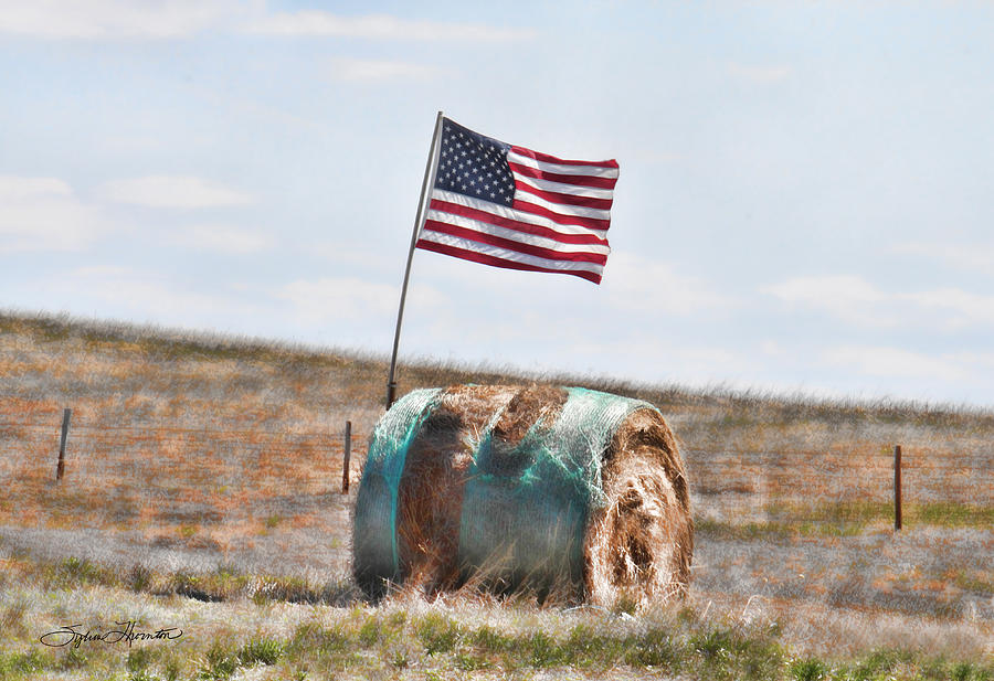 Proud To Be An American #1 Photograph by Sylvia Thornton