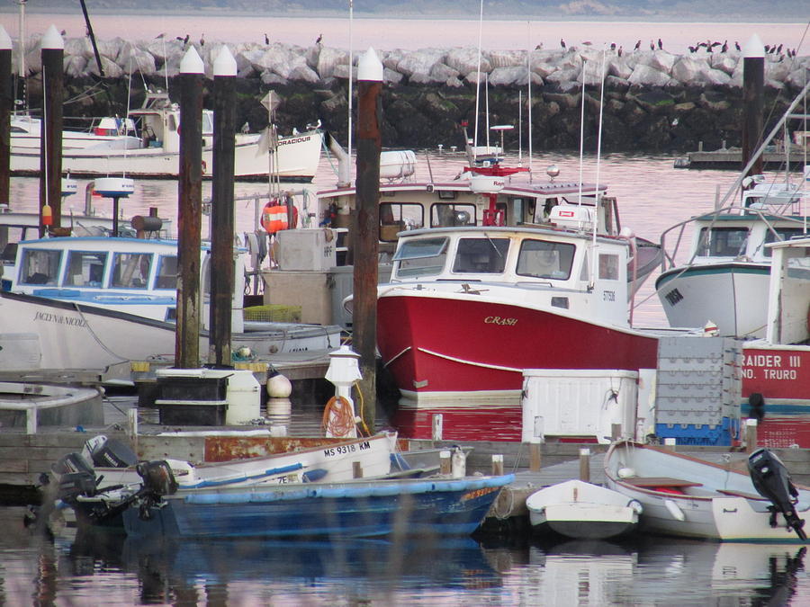 Provincetown Photograph - Provincetown Harbor by Amy Chesnut Provincetown Photograph - Provincetown Harbor by Amy Chesnut
