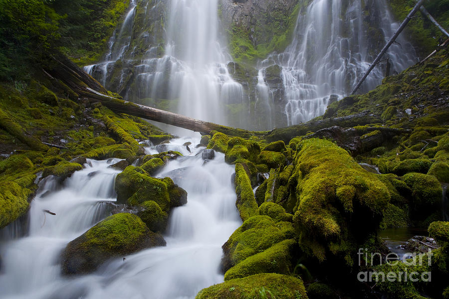 Waterfall Photograph - Proxy Falls #1 by Keith Kapple