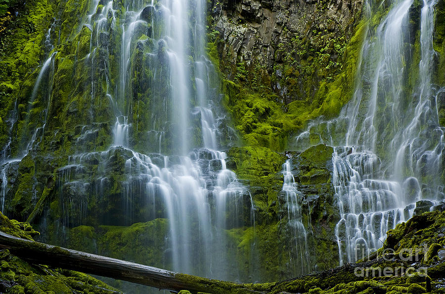 Waterfall Photograph - Proxy Falls #3 by Nick Boren