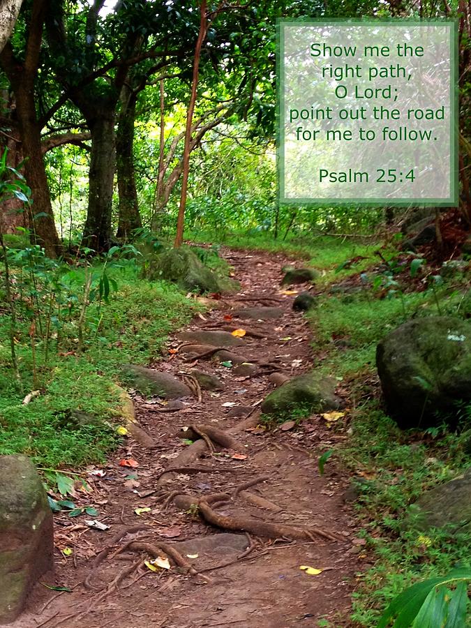 Psalm 25 4 Photograph By Scripture Pictures - Fine Art America