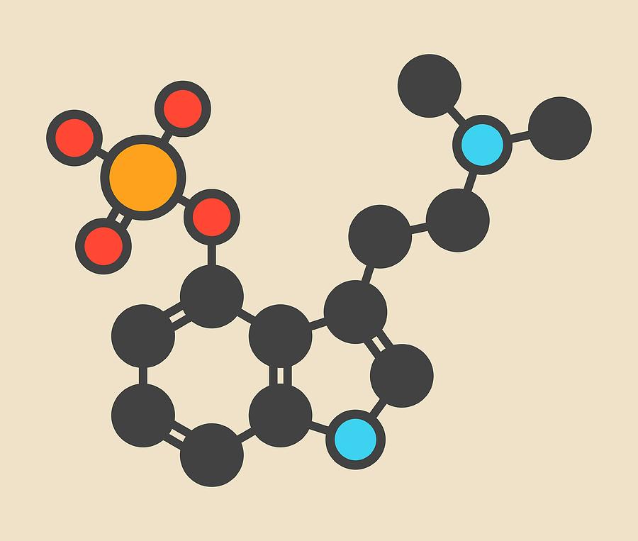 Psilocybin Psychedelic Mushroom Molecule #1 Photograph by Molekuul