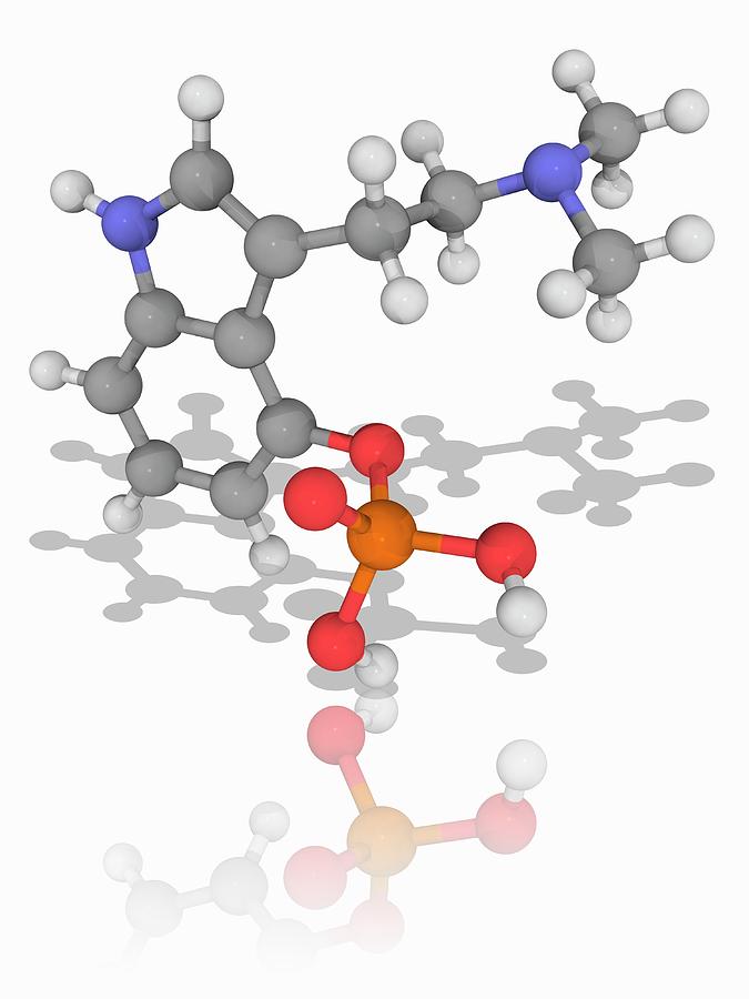 Psilocybine Drug Molecule #1 Photograph by Laguna Design/science Photo Library