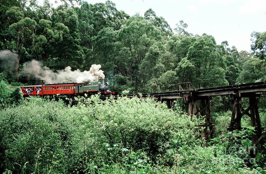 Puffing Billy Steam Railway Locomotive On A Bridge Photograph