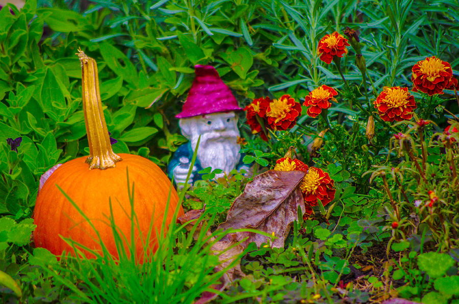 Pumpkin And Flowers #1 Photograph by Gerald Kloss