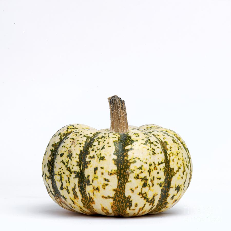 Pumpkin Photograph - Pumpkin #1 by Bernard Jaubert