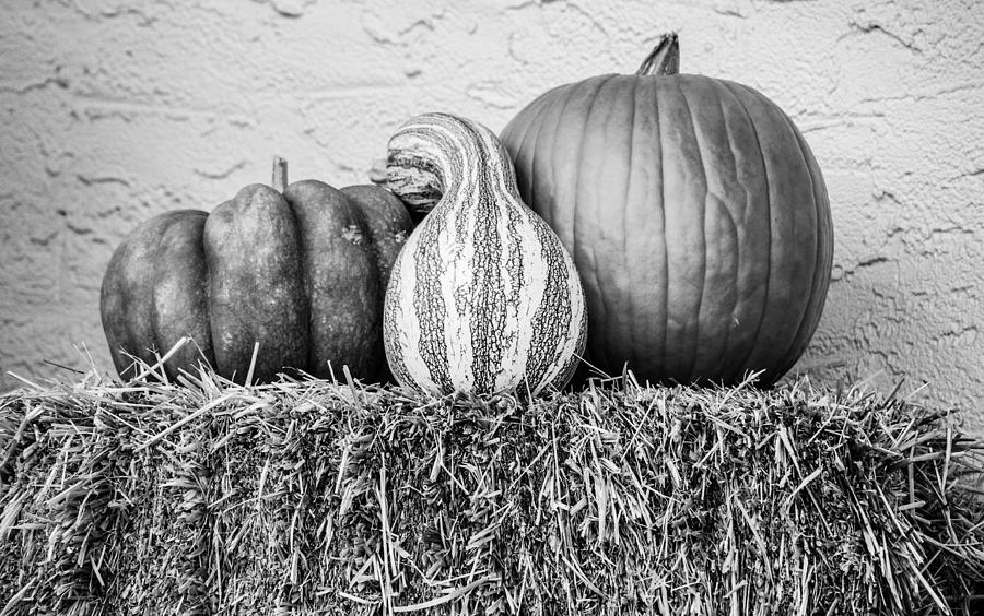 Pumpkins #1 Photograph by Gerald Kloss