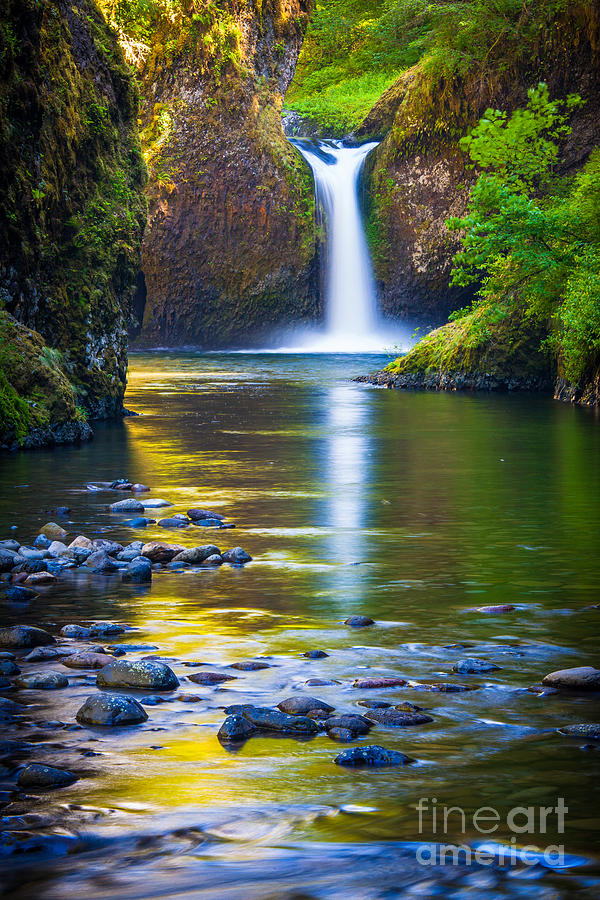 Punchbowl Falls Photograph by Inge Johnsson