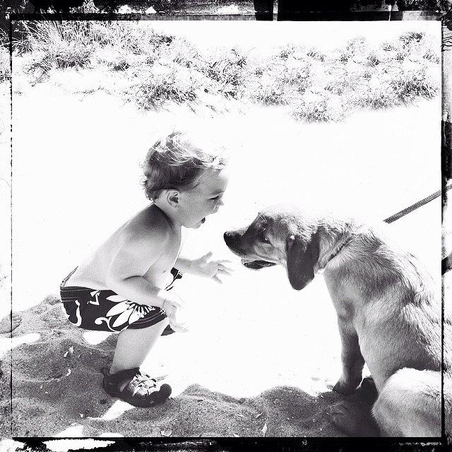 Nantucket Photograph - Puppy Love #1 by Natasha Marco