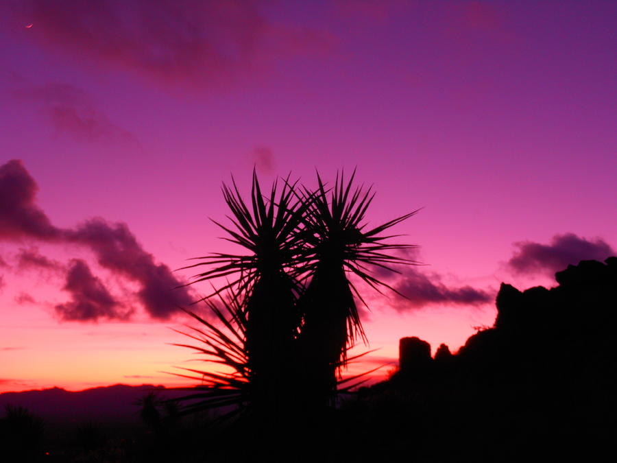 Sunset Photograph - Purple Desert #3 by James Welch