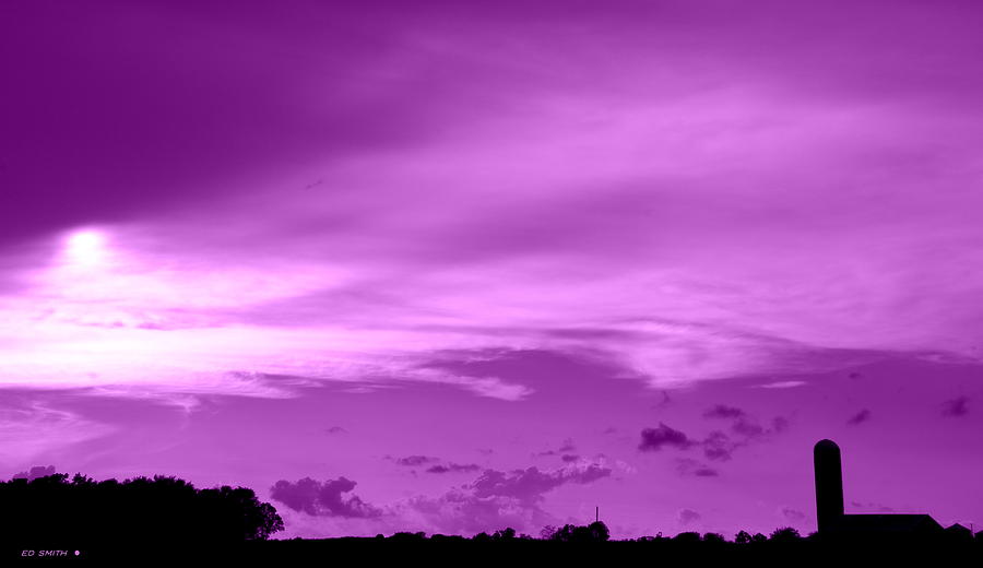 Purple Haze #1 Photograph by Edward Smith