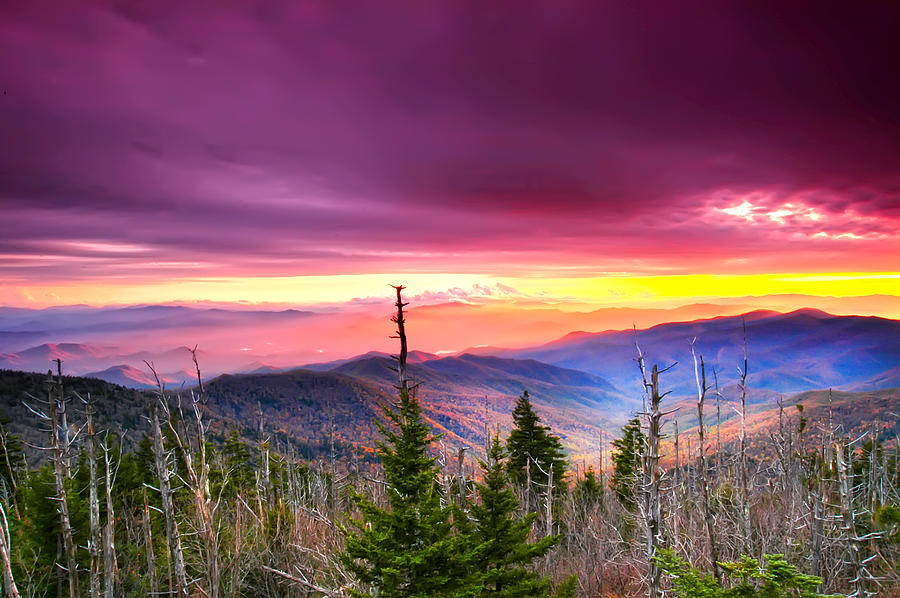 Purple Mountain Majesty #1 Photograph by Randall Branham