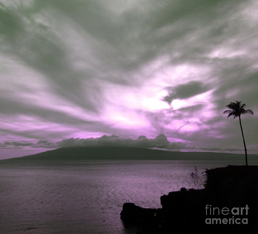 Purple Paradise #1 Photograph by Krissy Katsimbras