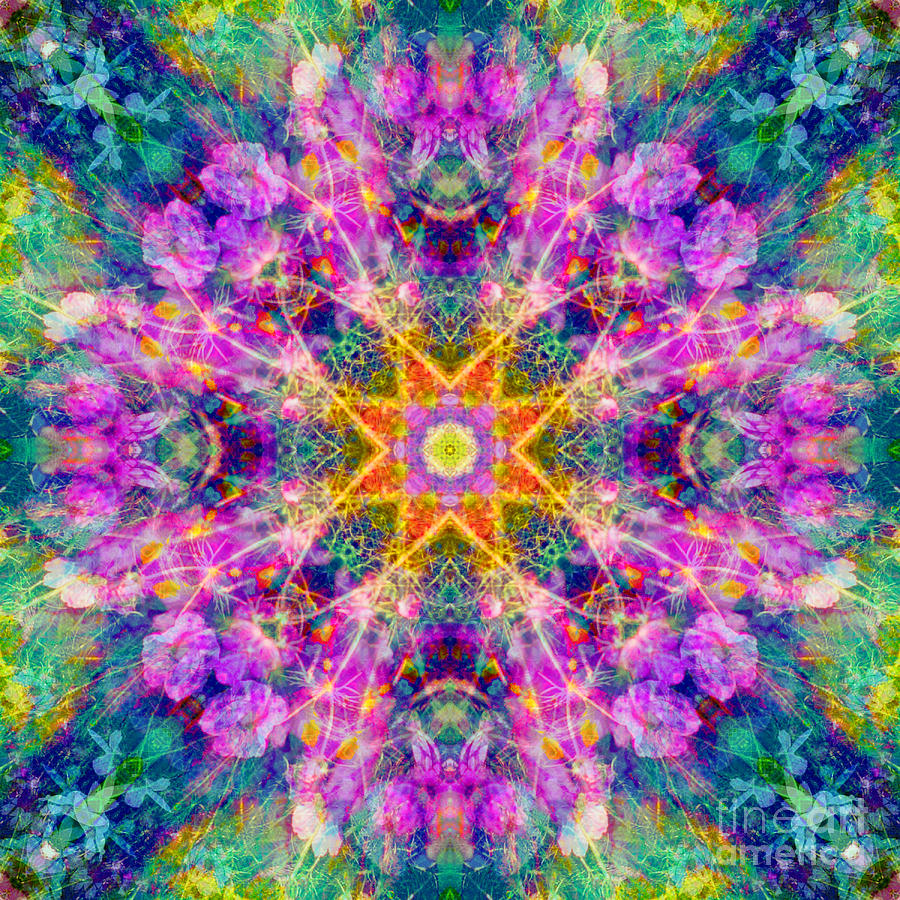 Purple Rainbow Mandala Digital Art by Susan Bloom | Fine Art America