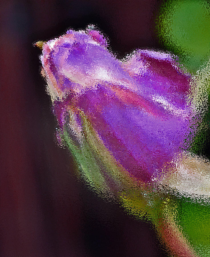 Purple Rose #1 Photograph by Bill Owen