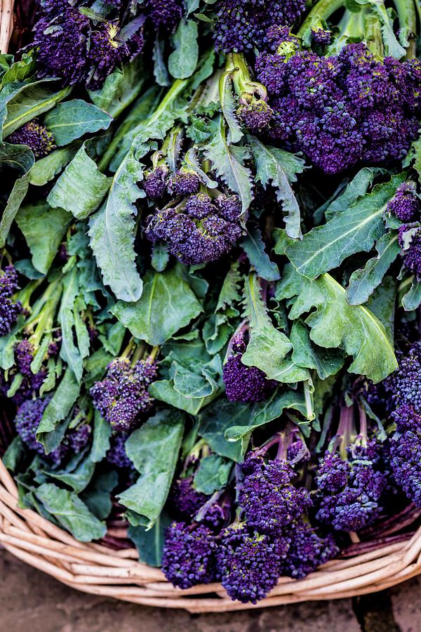 Still Life Photograph - Purple Sprouting Broccoli #1 by Aberration Films Ltd