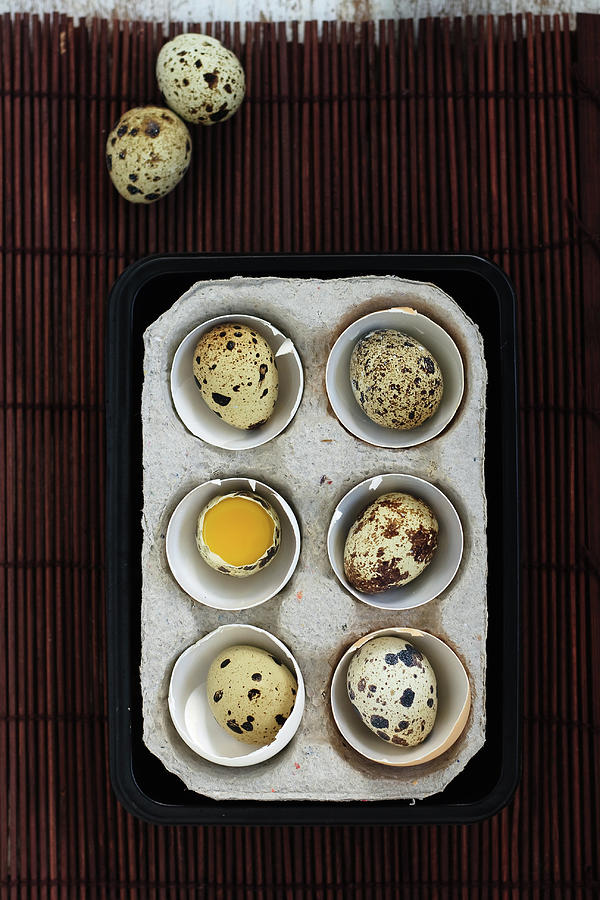 Quail Eggs #1 Photograph by Ashasathees Photography