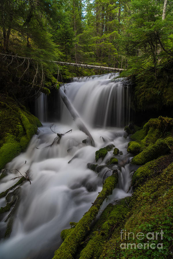 Nature Photograph - Quiet Falls #1 by Mike Reid