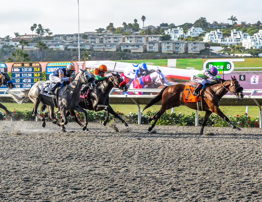 Horse Photograph - Racing at Del Mar #1 by Pamela Schreckengost