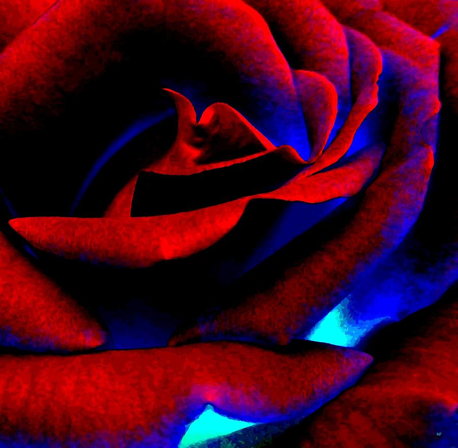 Radiant Red Rose #1 Digital Art by Will Borden