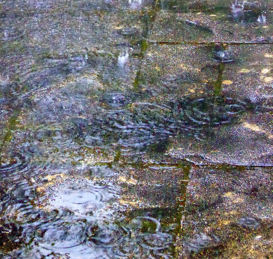 Rain - Sidewalk - Reflection #1 Photograph by Laurie Tsemak