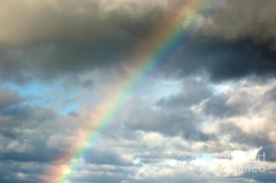 Rainbow Photograph - Rainbow #1 by Michal Bednarek