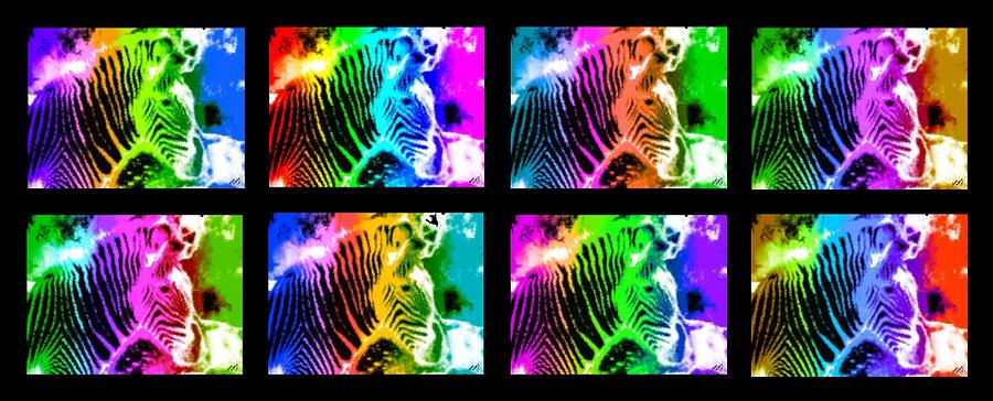 Rainbow Zebra Collage #1 Painting by Bruce Nutting