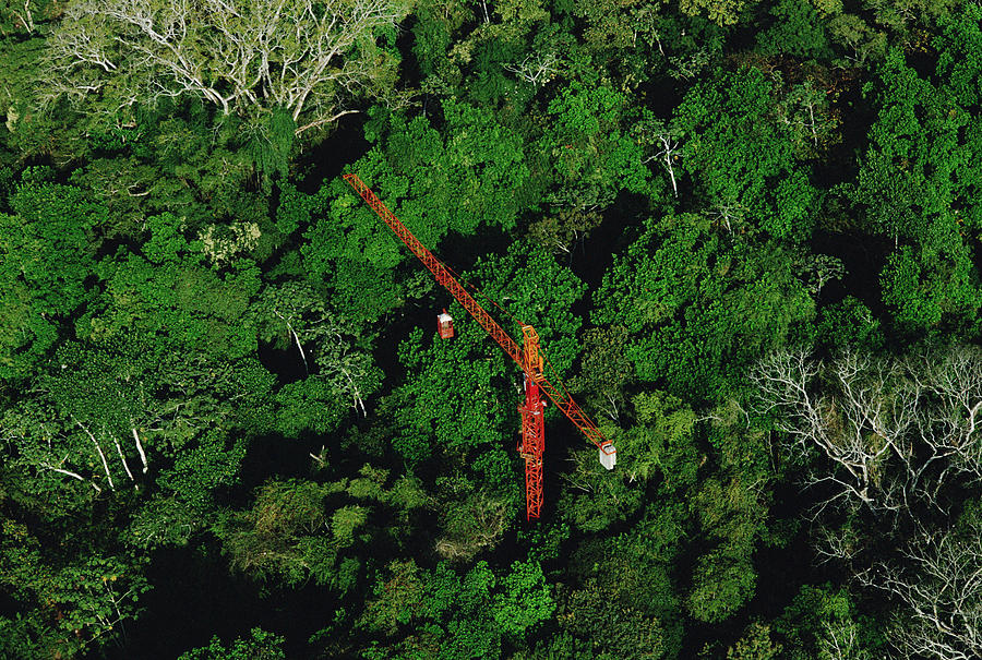 Rainforest Canopy Research Crane Stri #1 Photograph by Mark Moffett