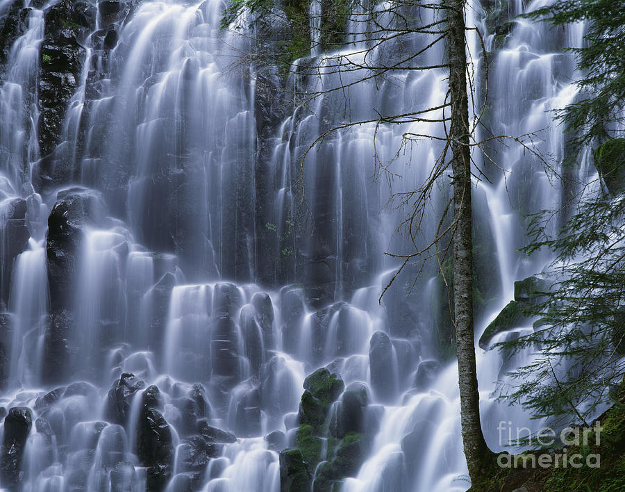 Ramona Falls #1 Photograph by Jim Corwin