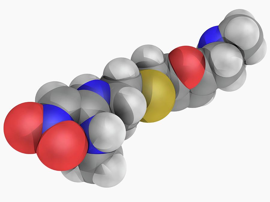 Illustration Photograph - Ranitidine Drug Molecule #1 by Laguna Design/science Photo Library
