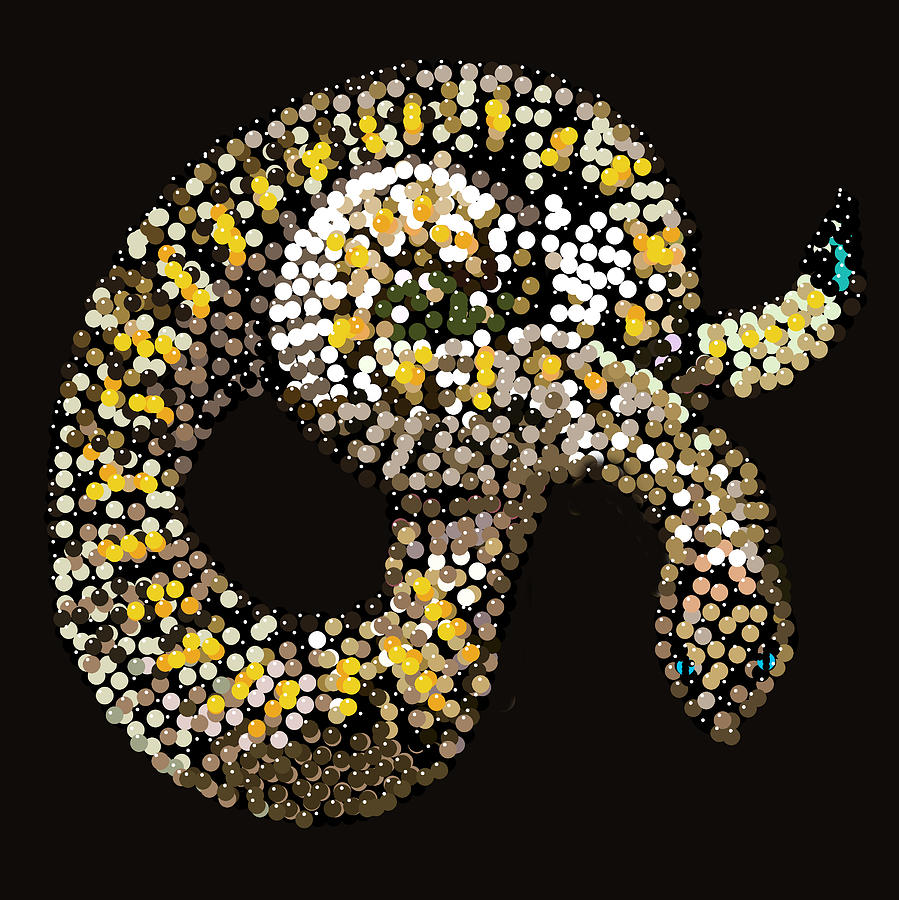Rattlesnake Bedazzled #1 Digital Art by R  Allen Swezey